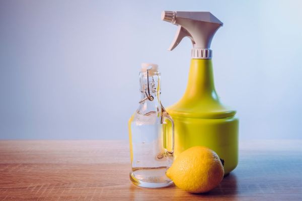 Como acabar com muriçoca: livre-se desse inseto com produtos caseiros ...