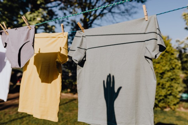 Como tirar caruncho de roupa: 3 dicas fáceis | Cleanipedia