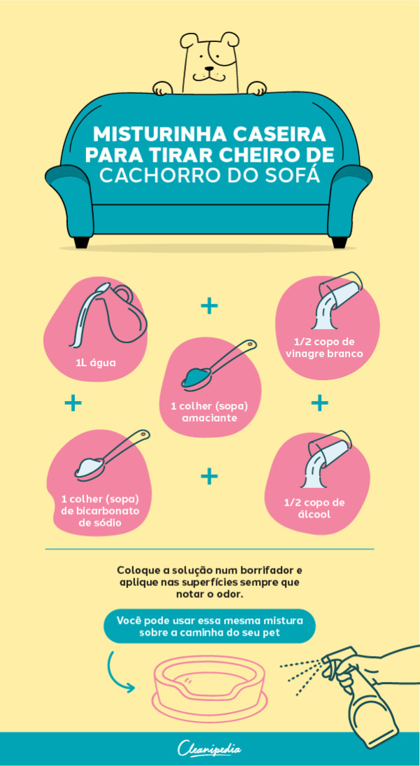 Como Tirar O Cheiro De Cachorro Da Casa