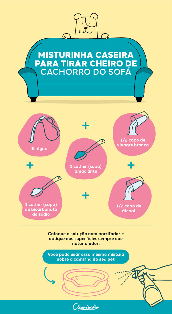 Como tirar cheiro de cachorro do sofá e da casa: 11 dicas | Cleanipedia