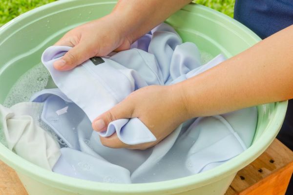 Como tirar caruncho de roupa: 3 dicas fáceis | Cleanipedia BR