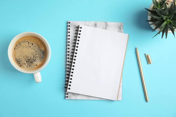 A cup of coffee, a blank notebook, a pen, and a potted succulent plant on a blue background.