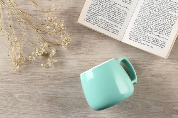 A teal mug tilted on a wooden surface with dried flowers and an open book.
