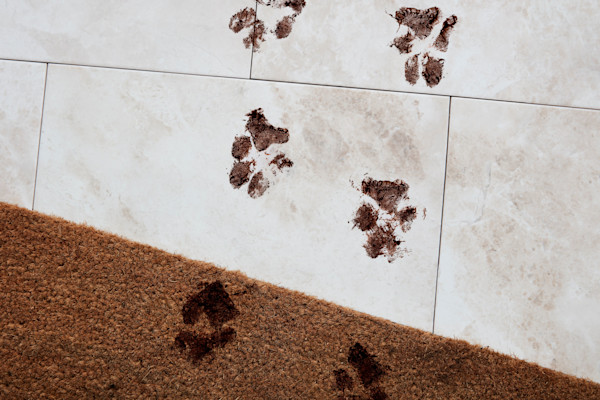 Muddy paw prints on a tiled floor transitioning onto a brown doormat.