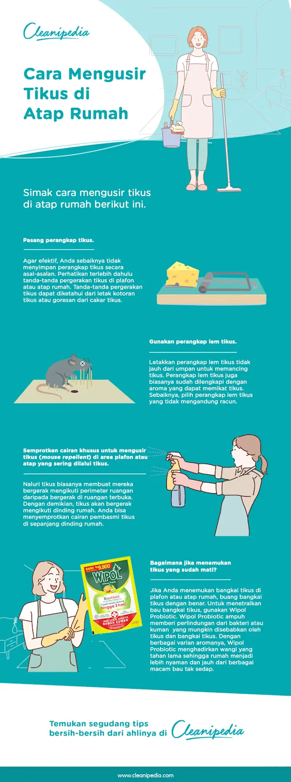 Infografis dengan tips mengusir tikus di atap rumah, termasuk menggunakan perangkap tikus, perangkap lem tikus, cairan pengusir tikus, dan produk Wipol Probiotic.