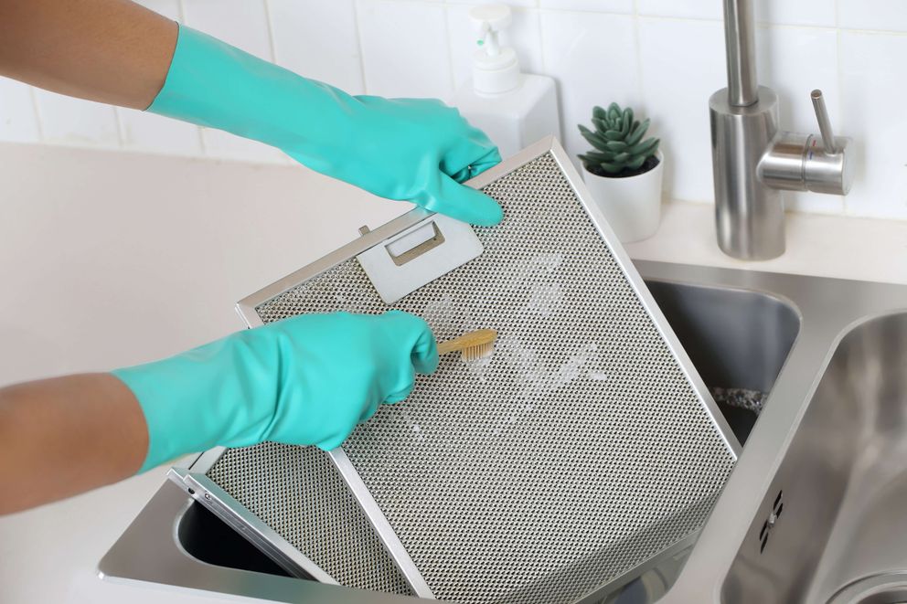 Step 4: rubbing down filter with toothbrush