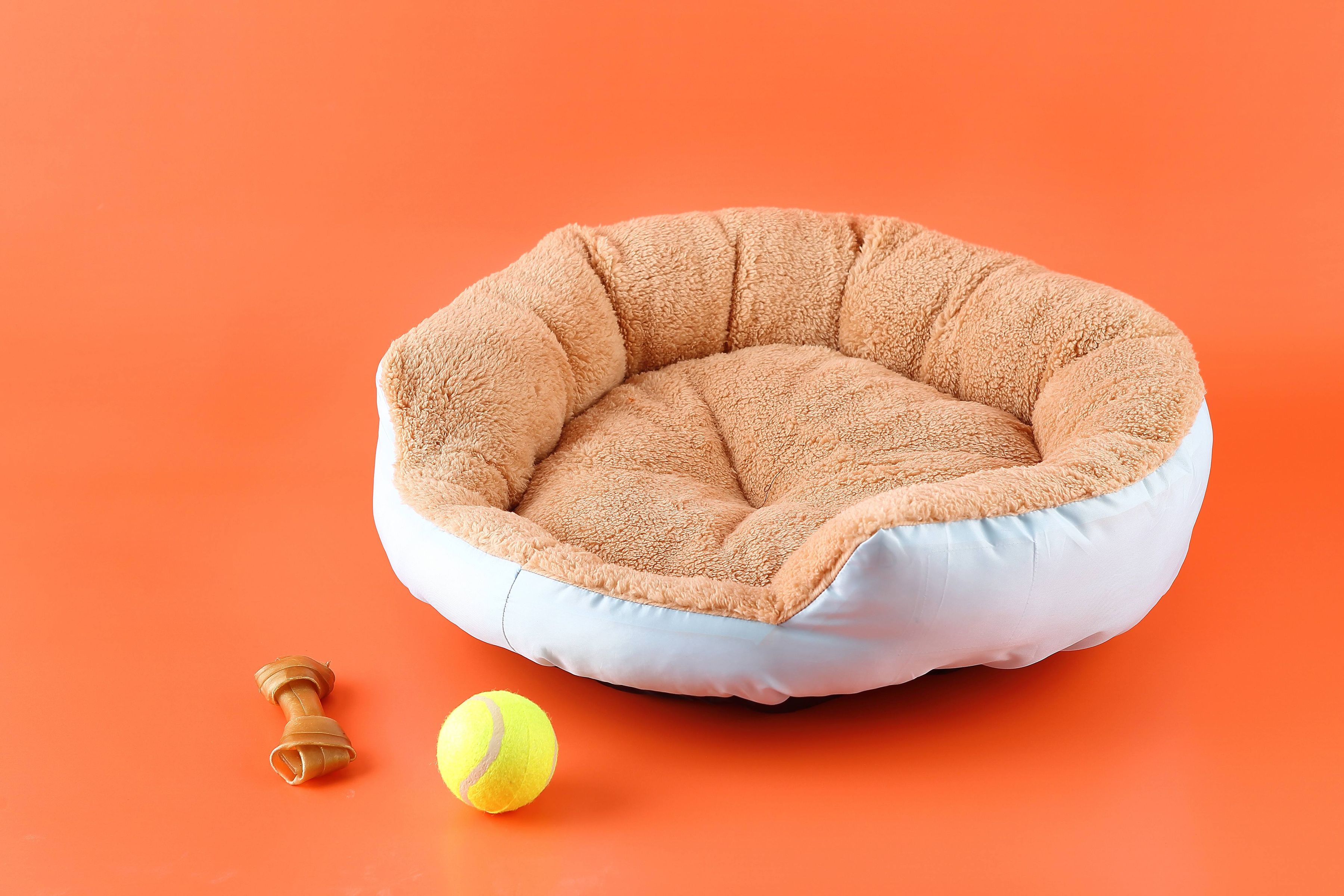 Washing Dog Bedding And Blankets How To Wash A Dog Bed Cleanipedia